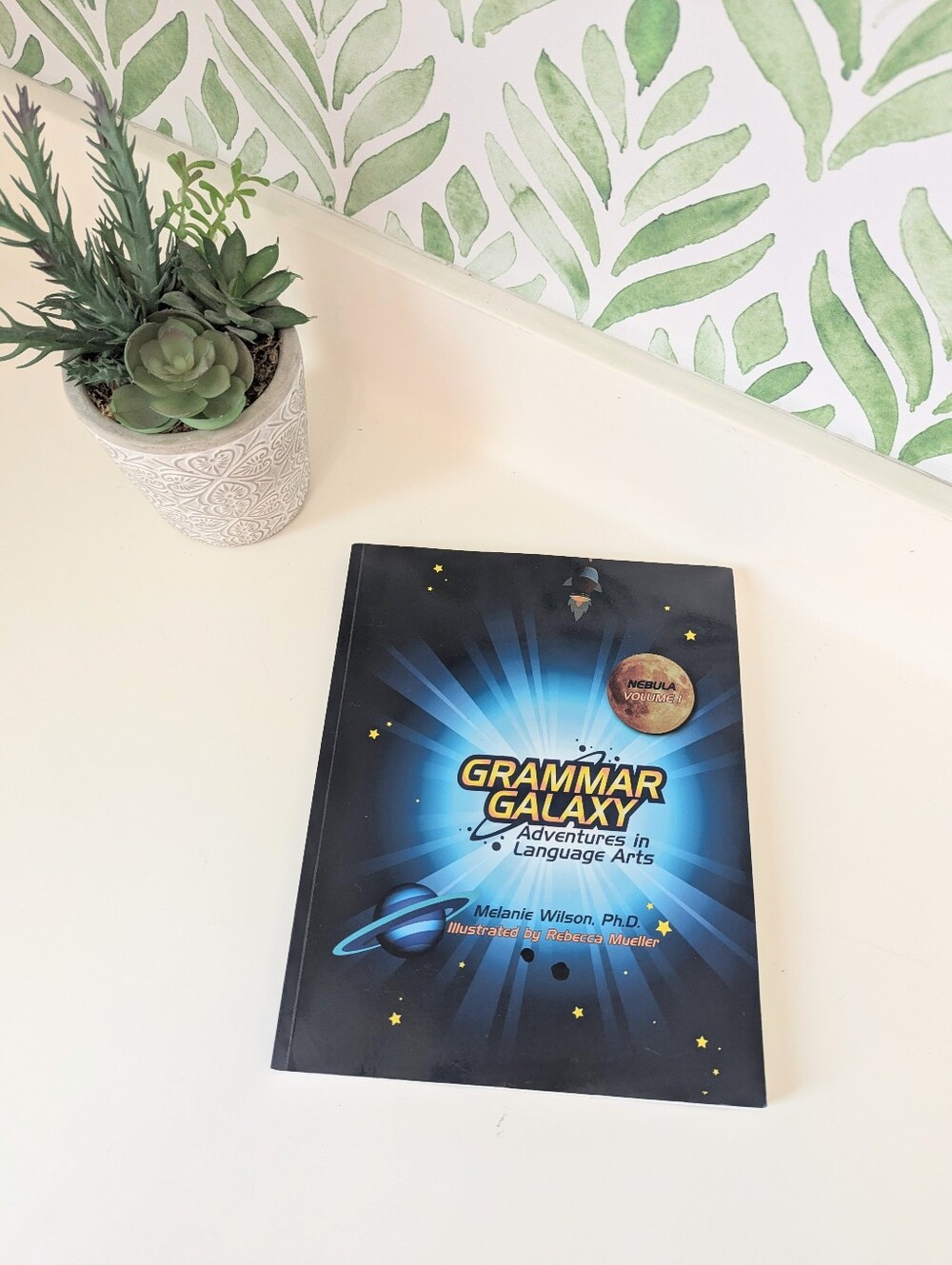 Grammar Galaxy Language Arts Literature English Curriculum Volume 1 Like New
